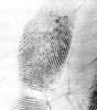 Fingerprint